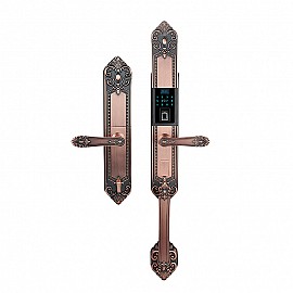 Khóa điện tử biệt thự AR-K107